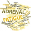 What is Adrenal Fatigue?